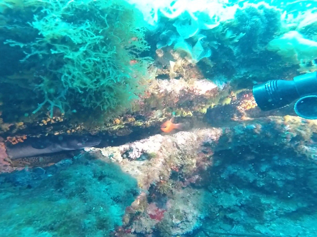 Buceo Aguadulce Dive & Water Sports-阿瓜杜尔塞必去景点