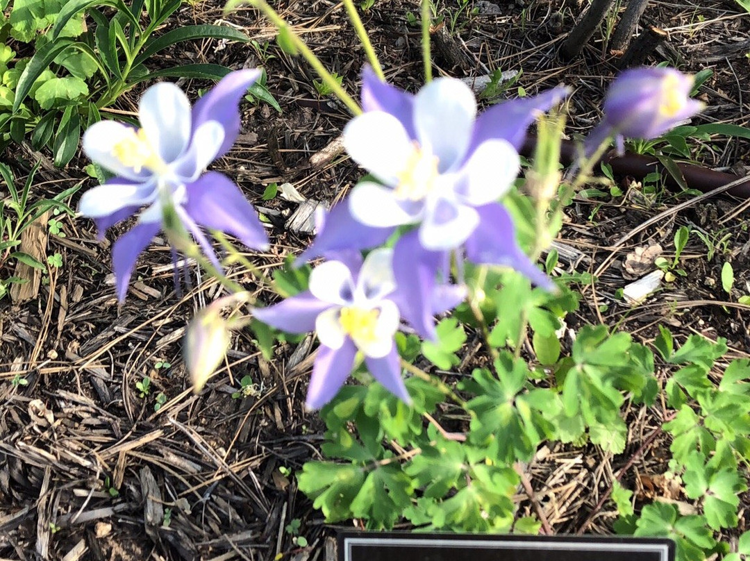 Mrs. Walsh's Garden-埃斯蒂斯公园必去景点