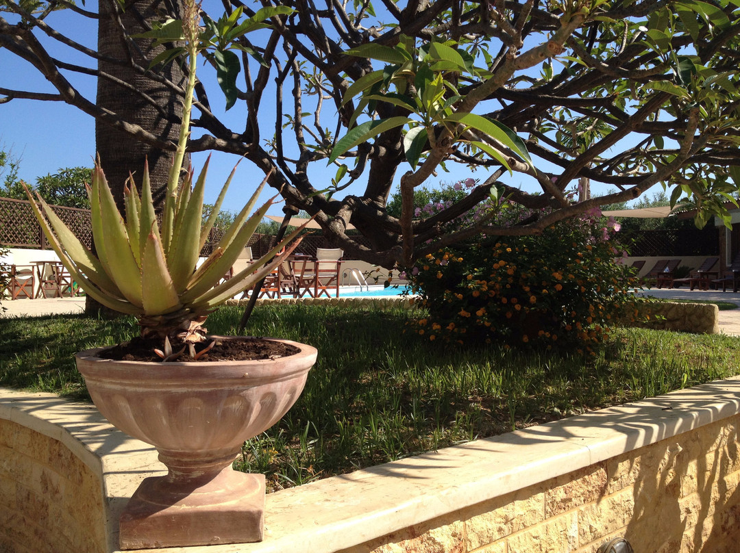 Hotel Kissamos主图