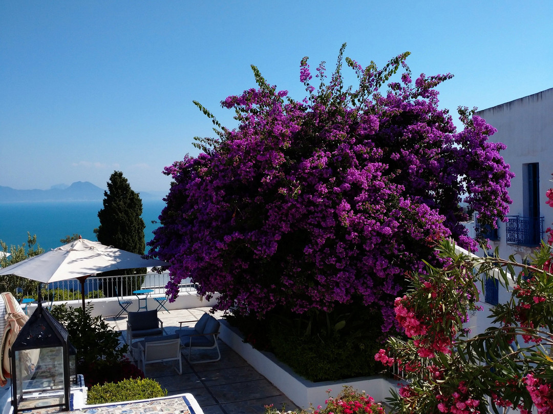 Hotel Dar Said主图