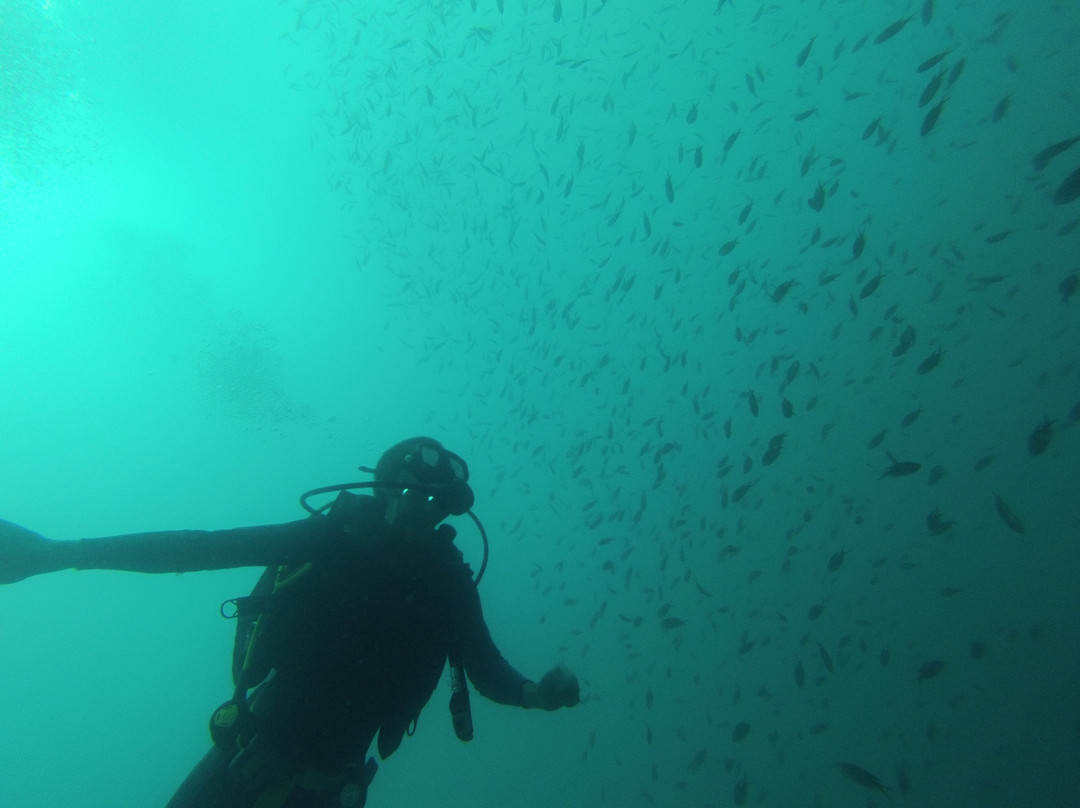 Native Diving-Puerto Lopez必去景点