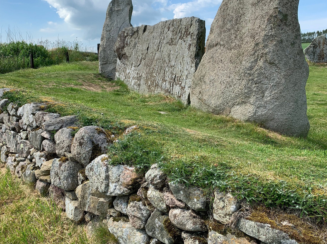 East Aquhorthies Stone Circle景点图片