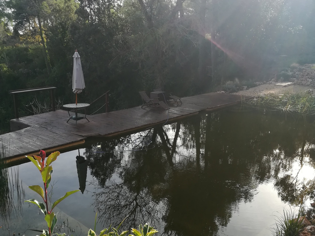 Boca Boca at La Masia Alt Penedes-巴塞罗那必去景点