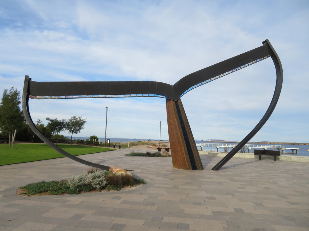 Esperance Whale Tail-埃斯佩兰斯必去景点