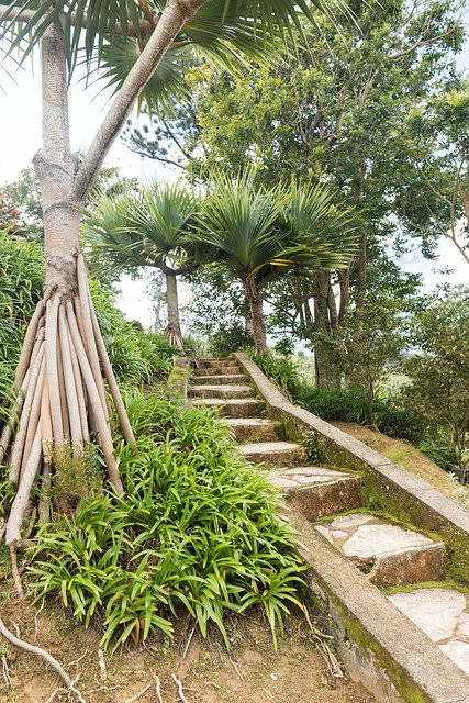 Jardin Ave del Paraiso景点图片
