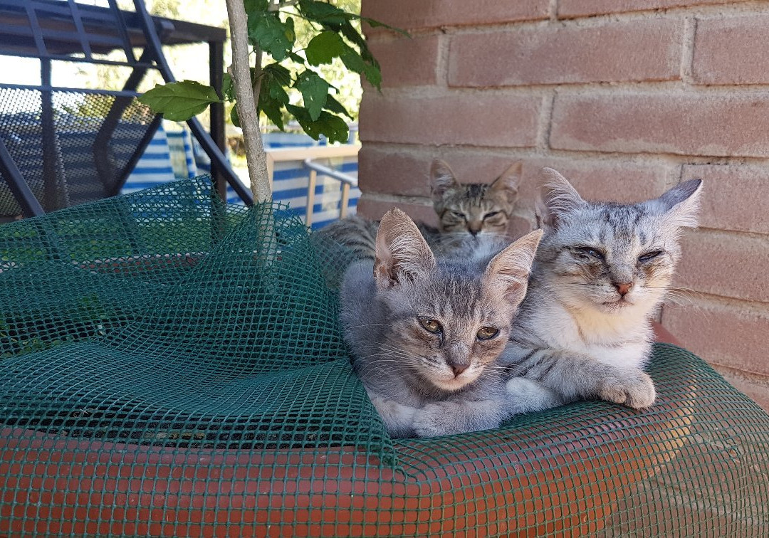 Agriturismo La Conserva主图