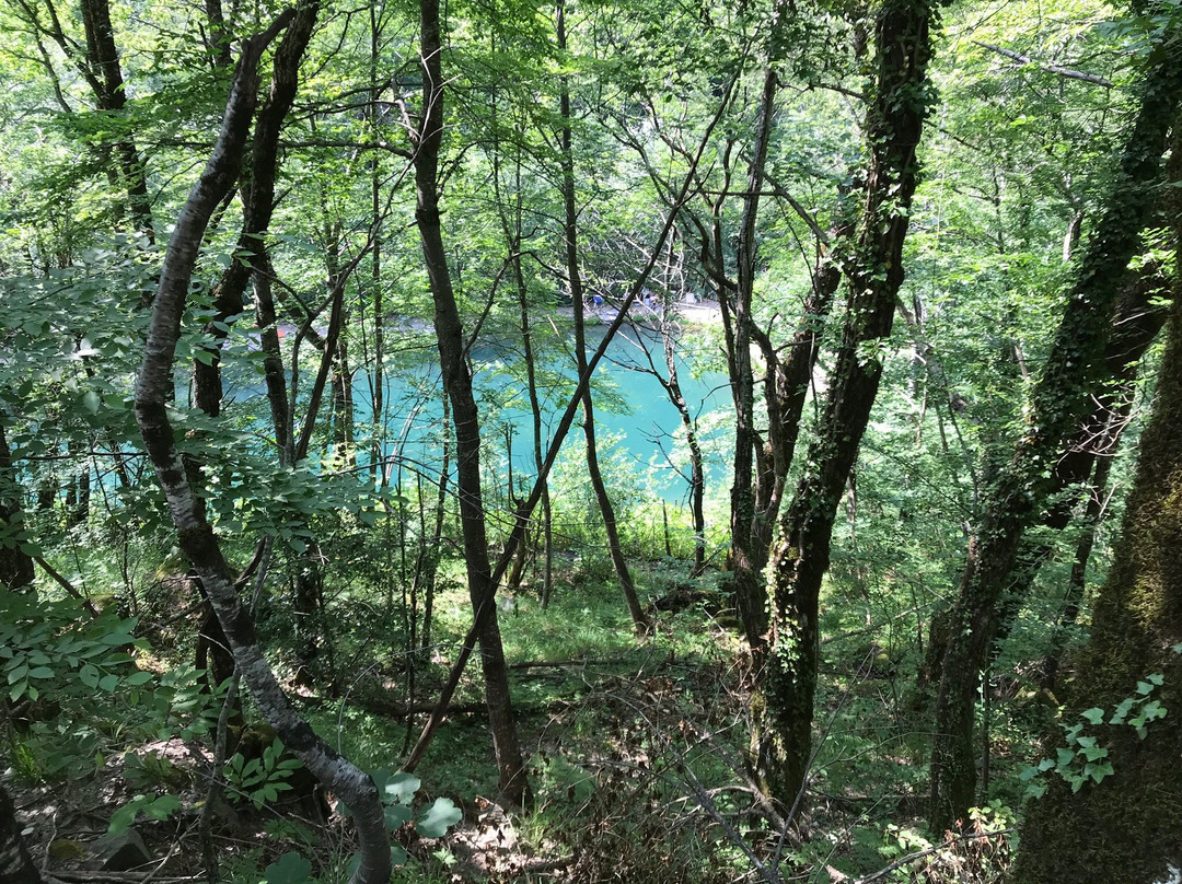 Laghetto del Dardagna景点图片