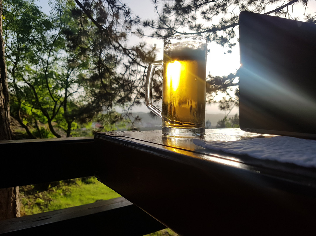 Hotel Trebjesa主图