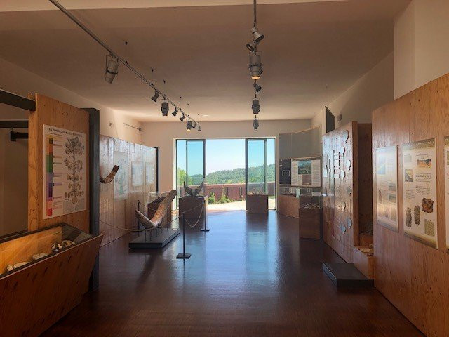 Museo Geopaleontologico景点图片