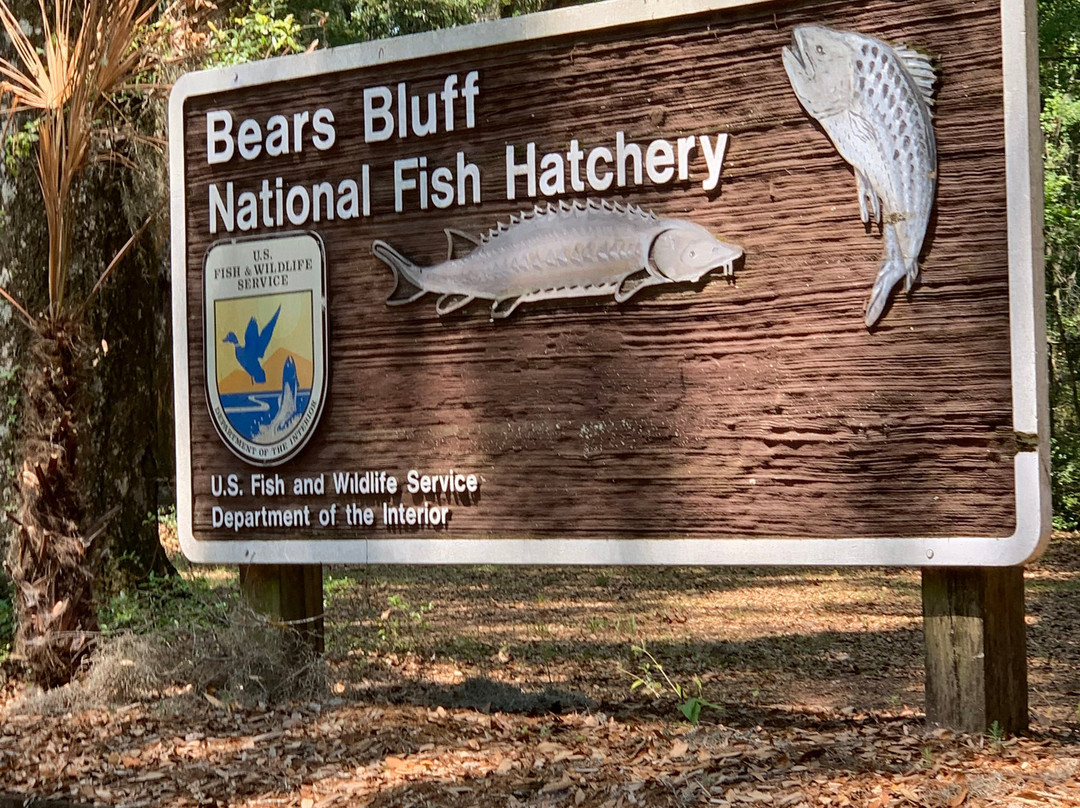 Bears Bluff National Fish Hatchery景点图片