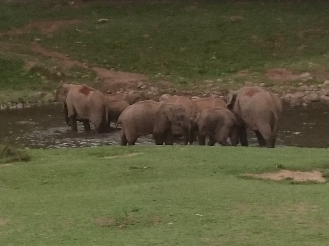 Elephant View Point景点图片