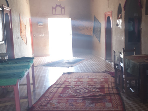 Riad Desert Camel主图