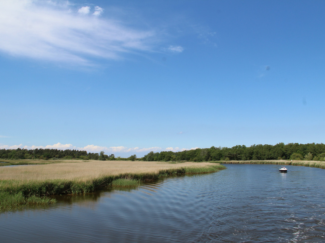 Naturreisen MV-Ostseebad Prerow必去景点