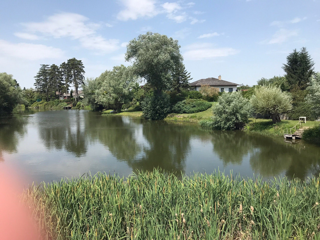 Nationalpark Donau-Auen-Orth an der Donau必去景点