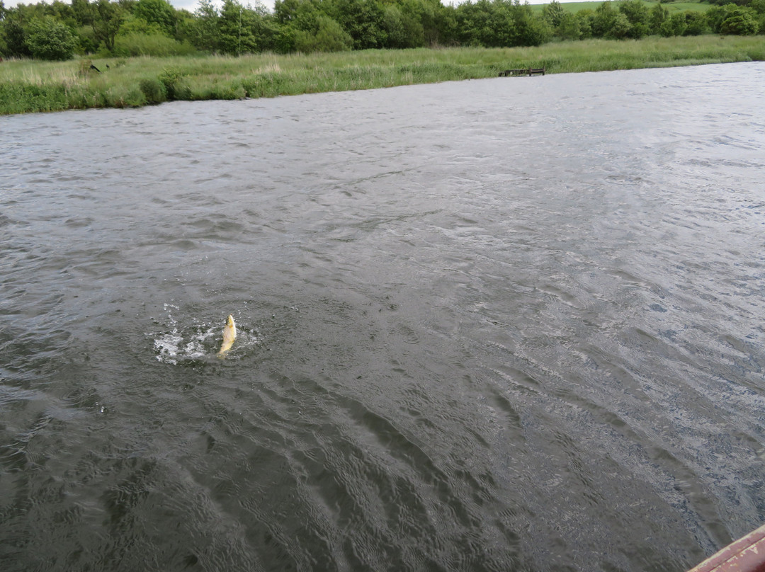 Upper Carriston Trout Fishery-Markinch必去景点