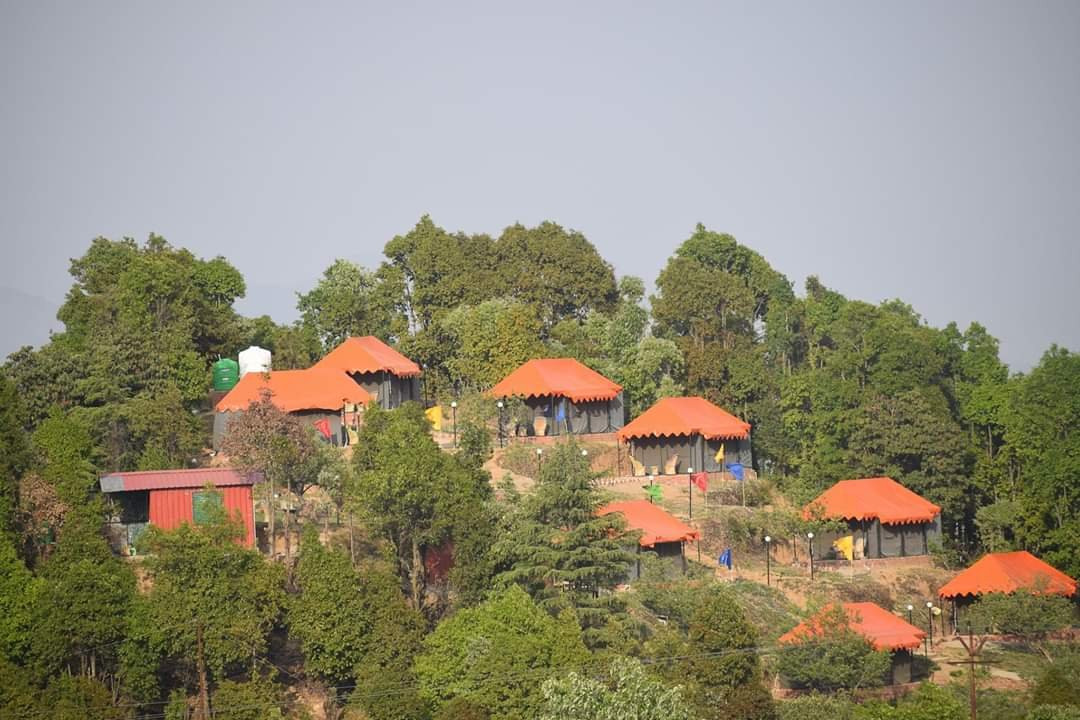 Camp Garden