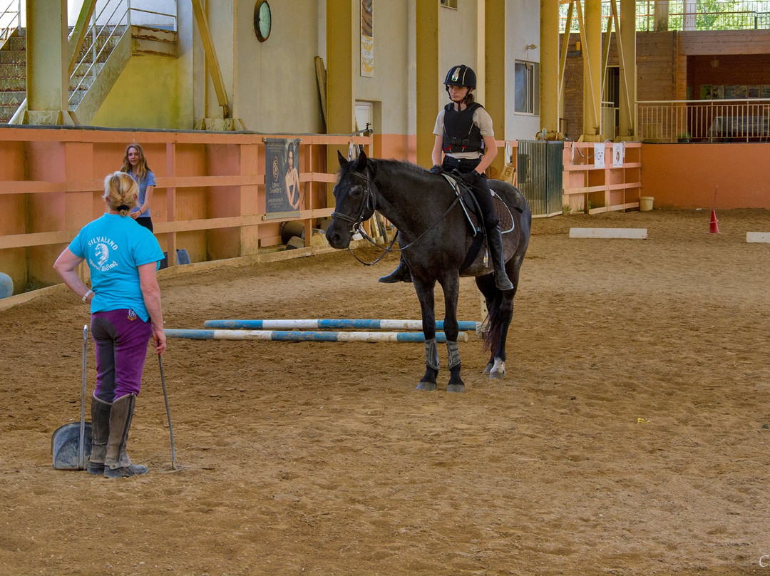 Silvaland-Kalafationes必去景点