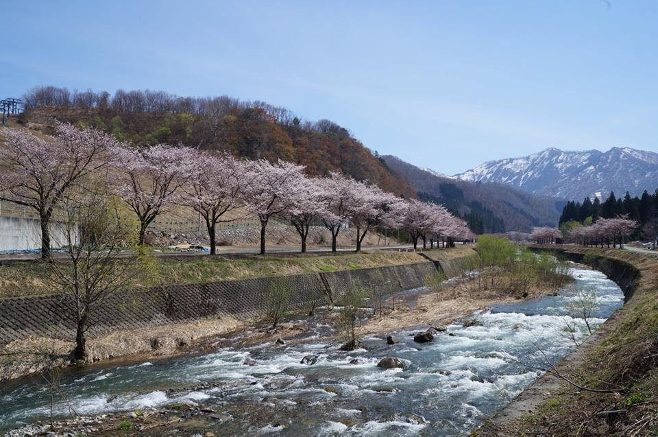 Yuzawa Central Park景点图片