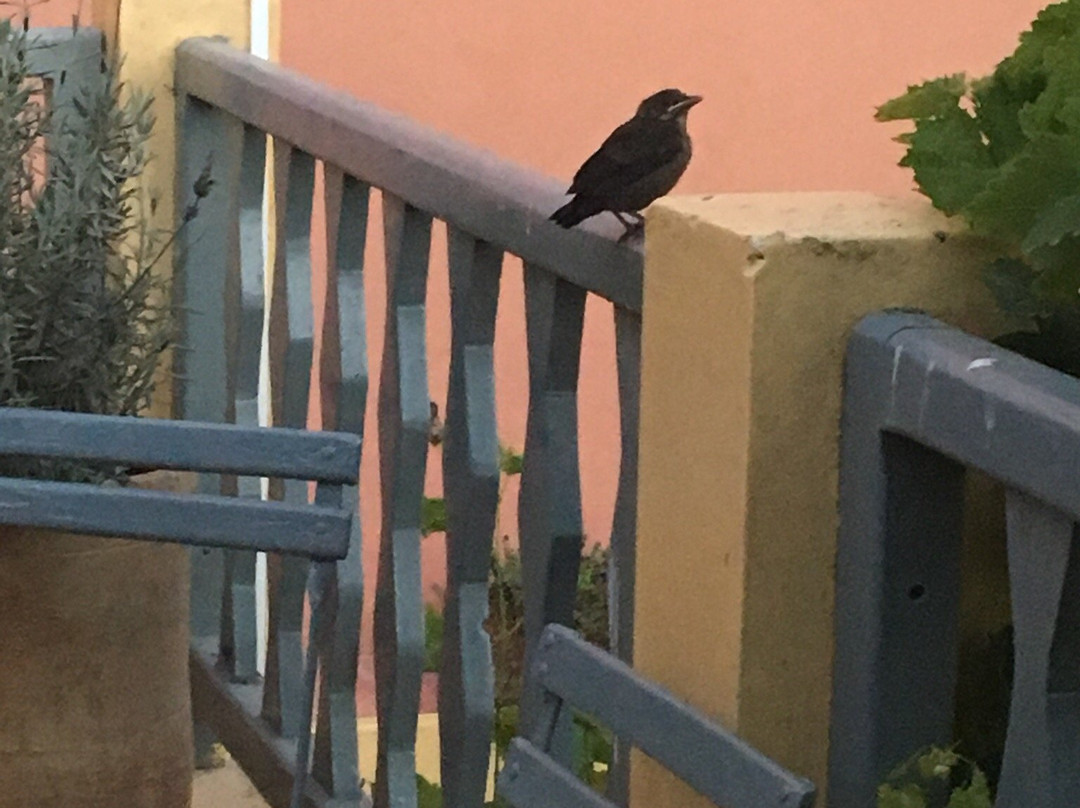 Dar Beldi Maison D'Hôtes主图