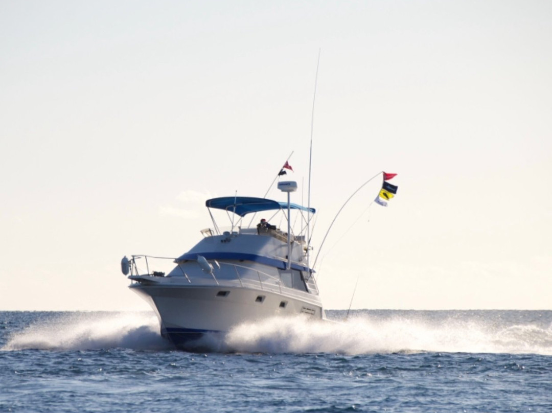 Los Cabos Yacht-圣何塞卡波必去景点