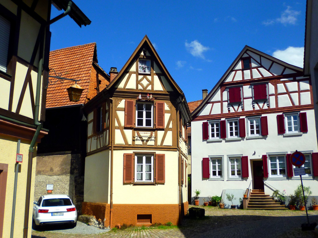 Schwarzwald Villa主图