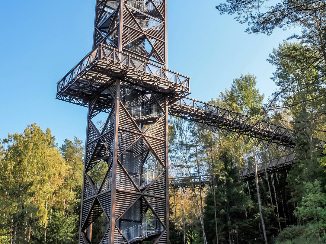 The Treetop Walking Path-Katleriai必去景点