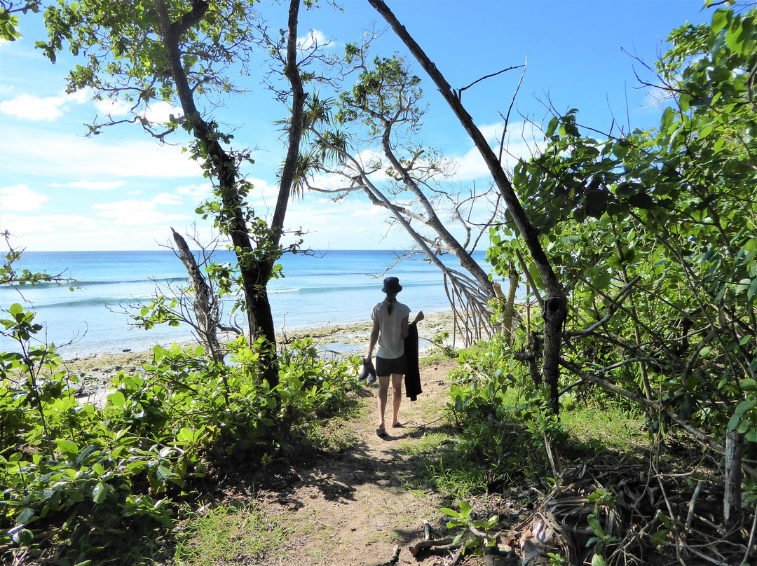 Kitesurf Tonga主图