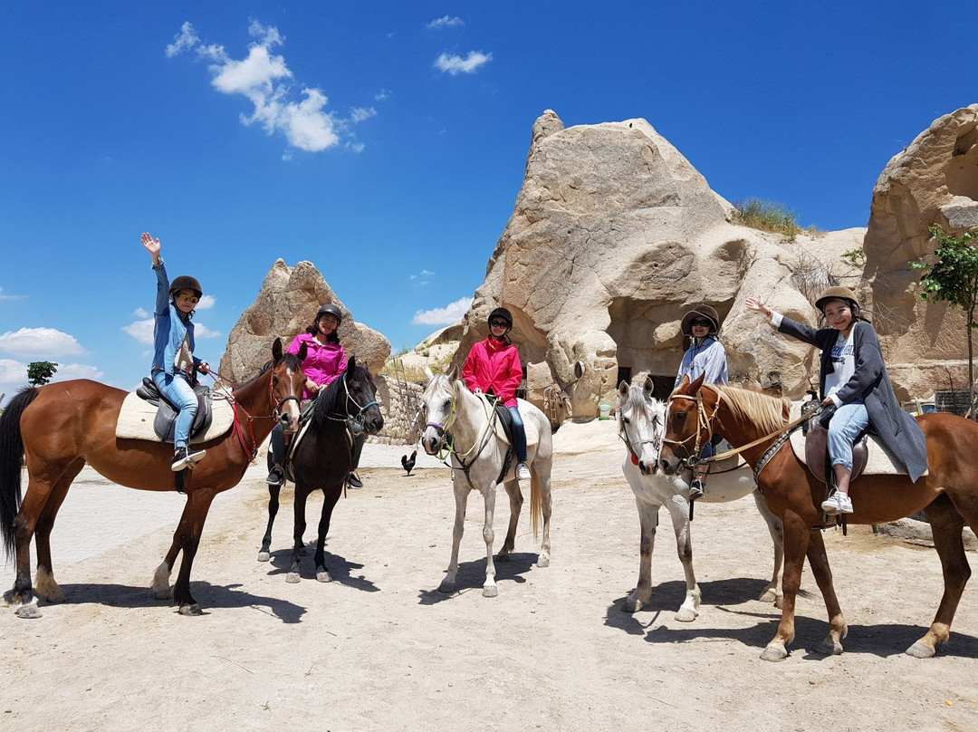 The Dalton Brothers Horse Riding Tours-格雷梅必去景点