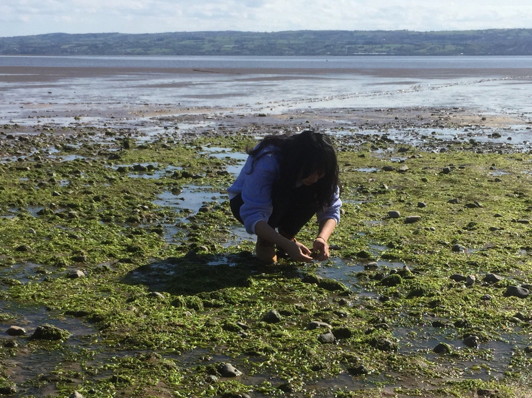 Thurstaston Visitor Centre-Thurstaston必去景点
