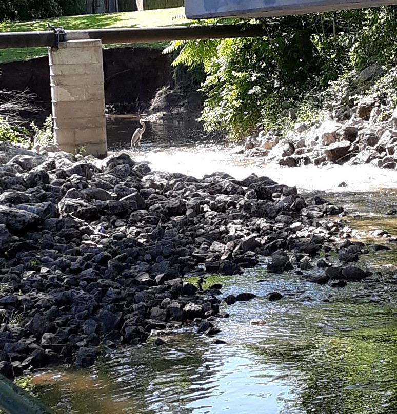 Granbury Hike & Bike Trail-格兰伯里必去景点
