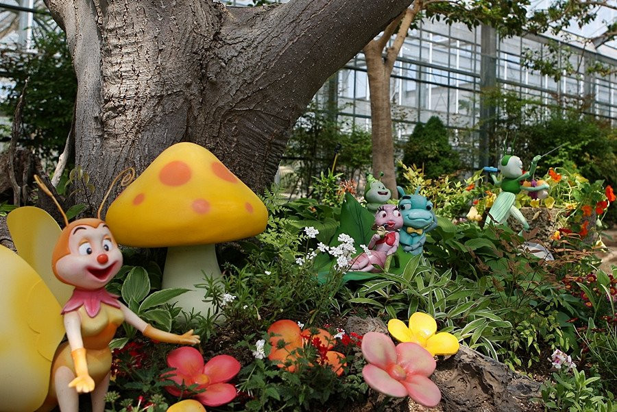 Hampyeong Expo Park - Natural Ecological Museum-咸平郡必去景点