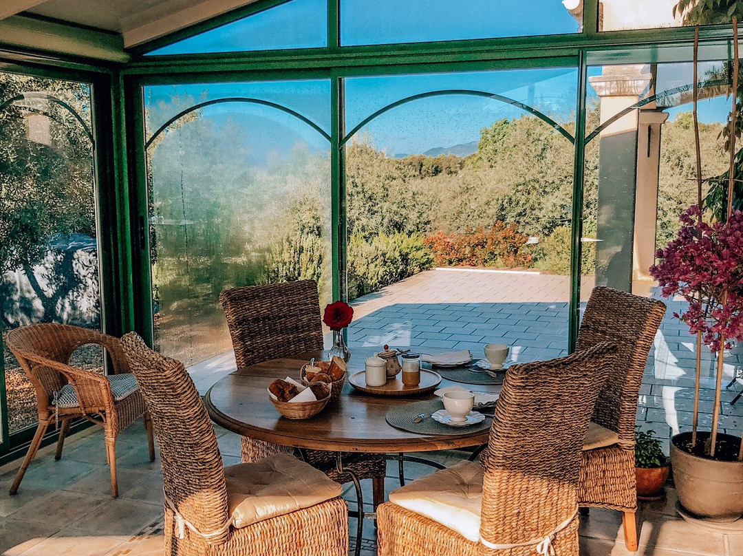 La Maison Dans l'Olivette