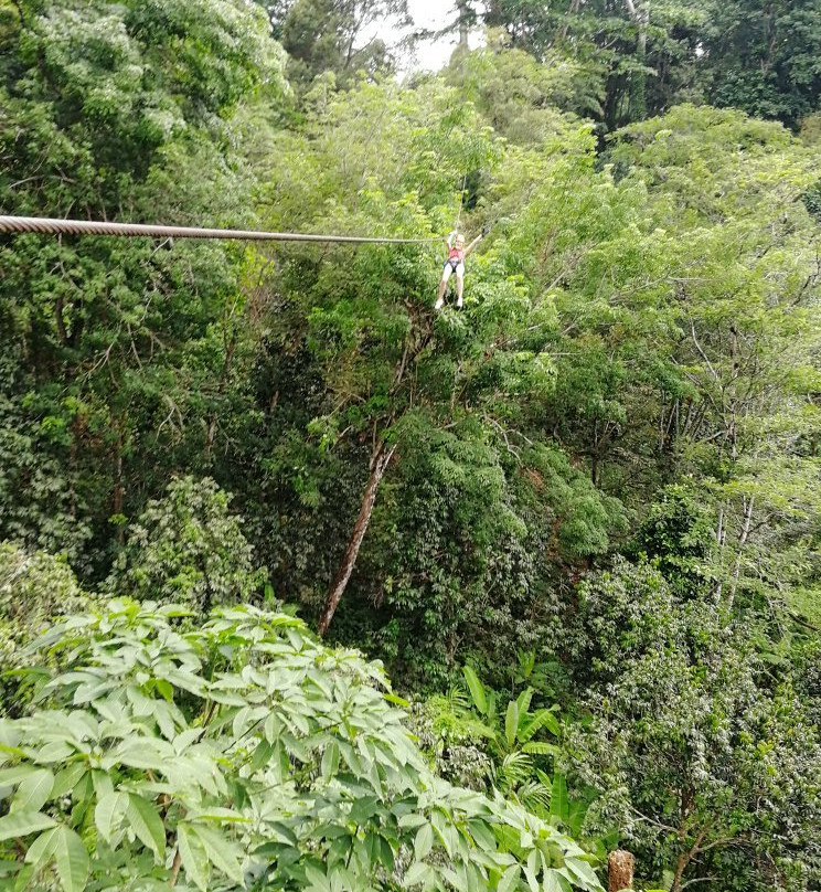 Cable Jungle Adventure景点图片