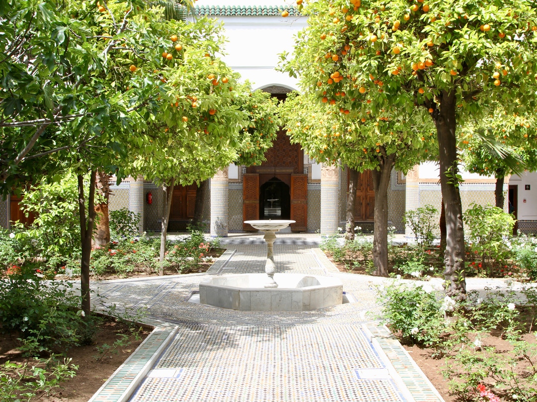 Dar El Bacha - Musee des Confluences景点图片