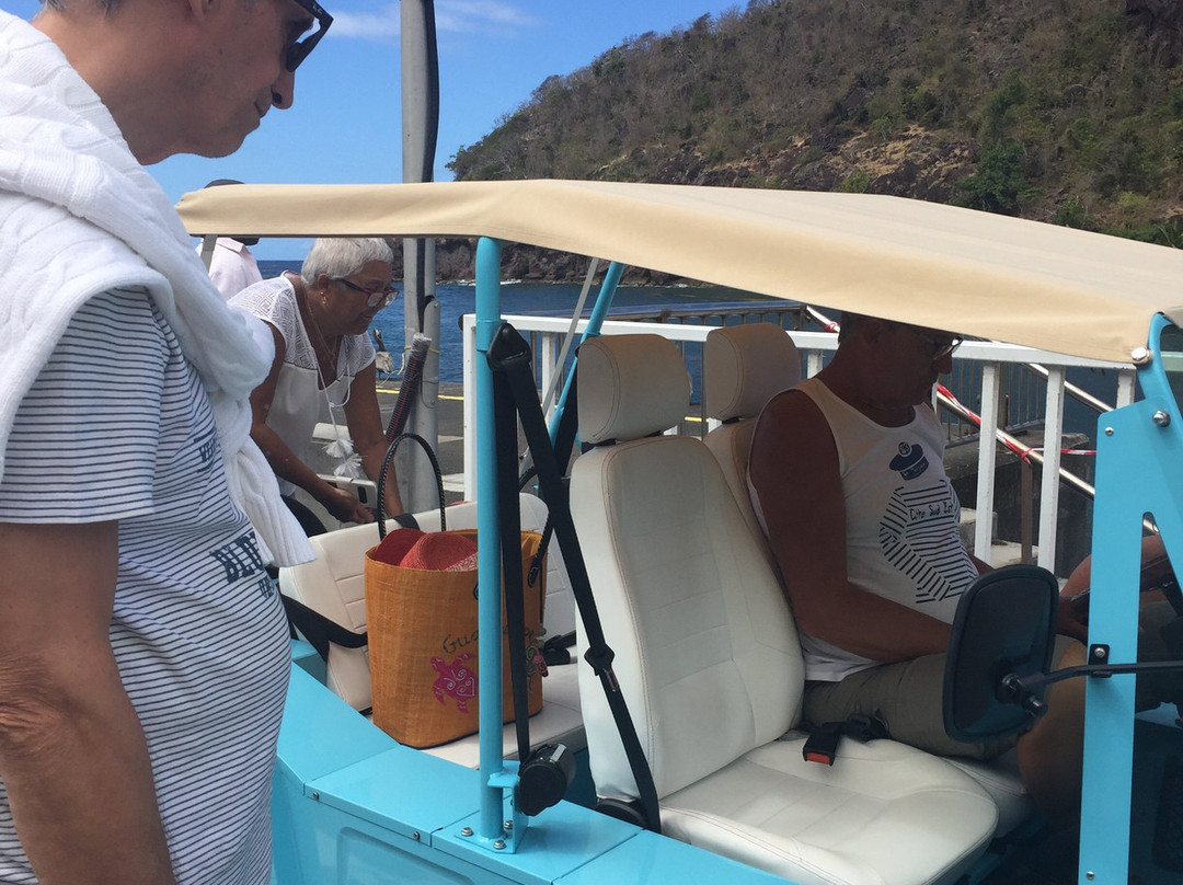 Iguana Locations-Terre-de-Bas必去景点