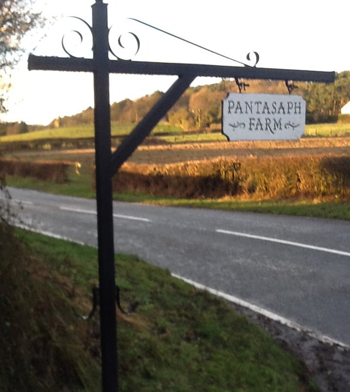 Pantasaph Farm主图