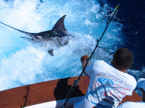 DDD Samana Sport Fishing-Santa Barbara de Samana必去景点