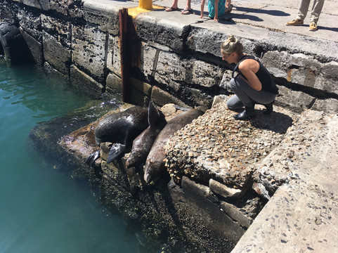 OTC Adventures-开普敦中心区必去景点