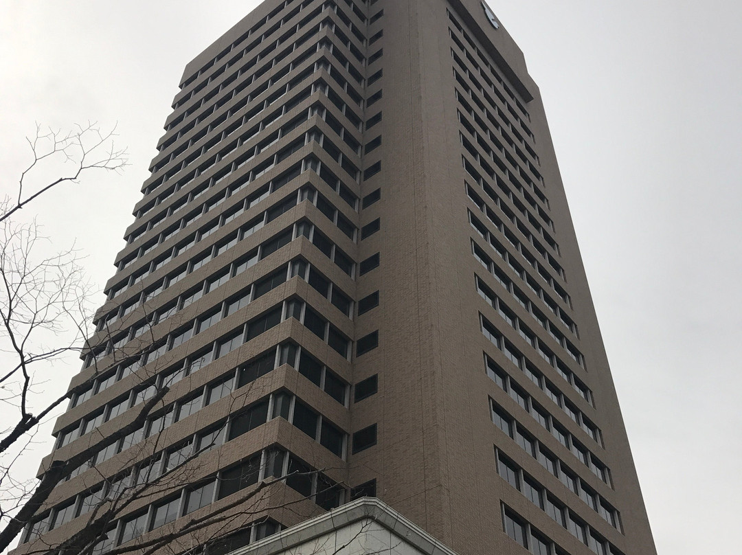 Higashiosaka City Government Office Observation Deck景点图片