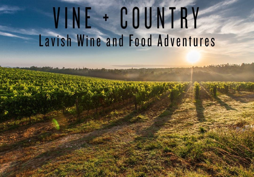 Vine + Country Wine and Food Tours景点图片
