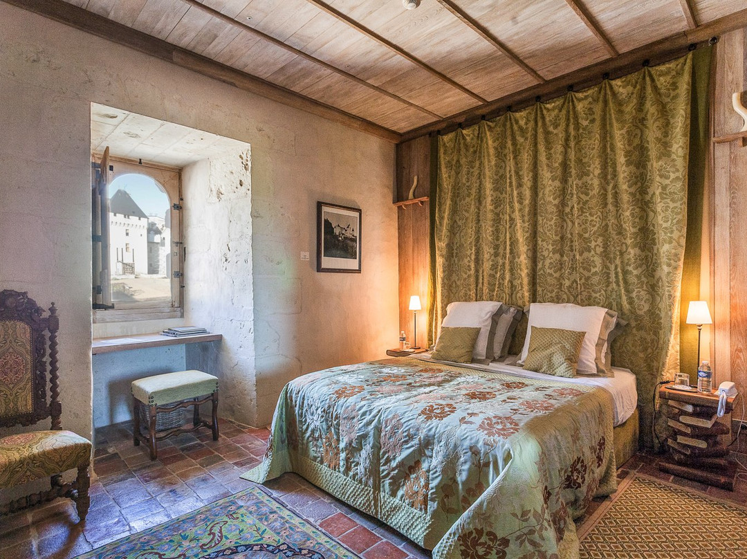 Chateau du Rivau主图