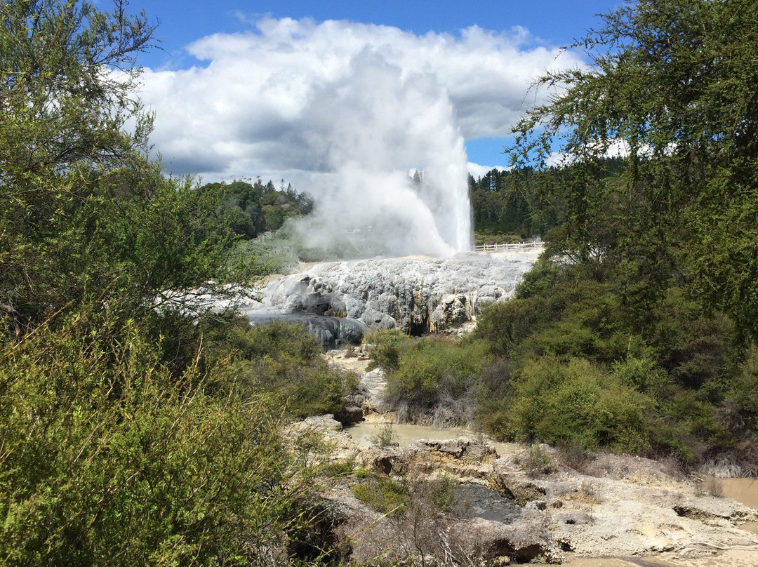 Tauranga Cruise and Tour-陶兰加必去景点