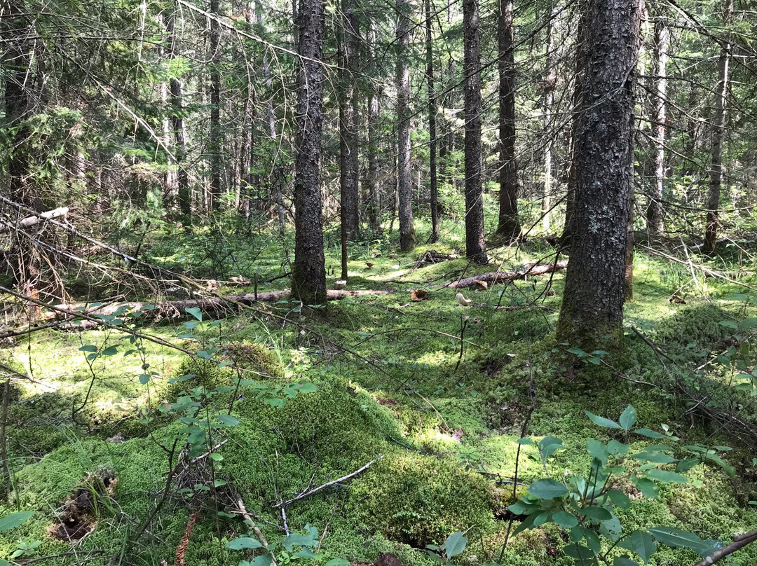 Parc National de Frontenac-Saint-Romain必去景点