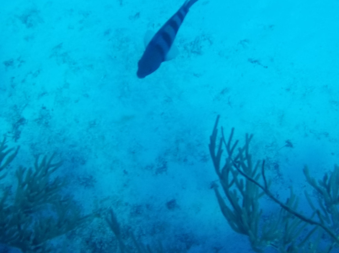 Santa Rosa Wall-考祖梅必去景点