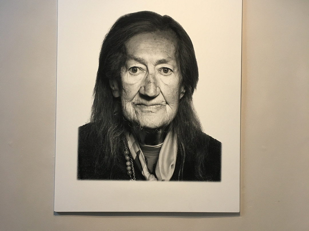 Hamilton Gallery-斯莱戈必去景点