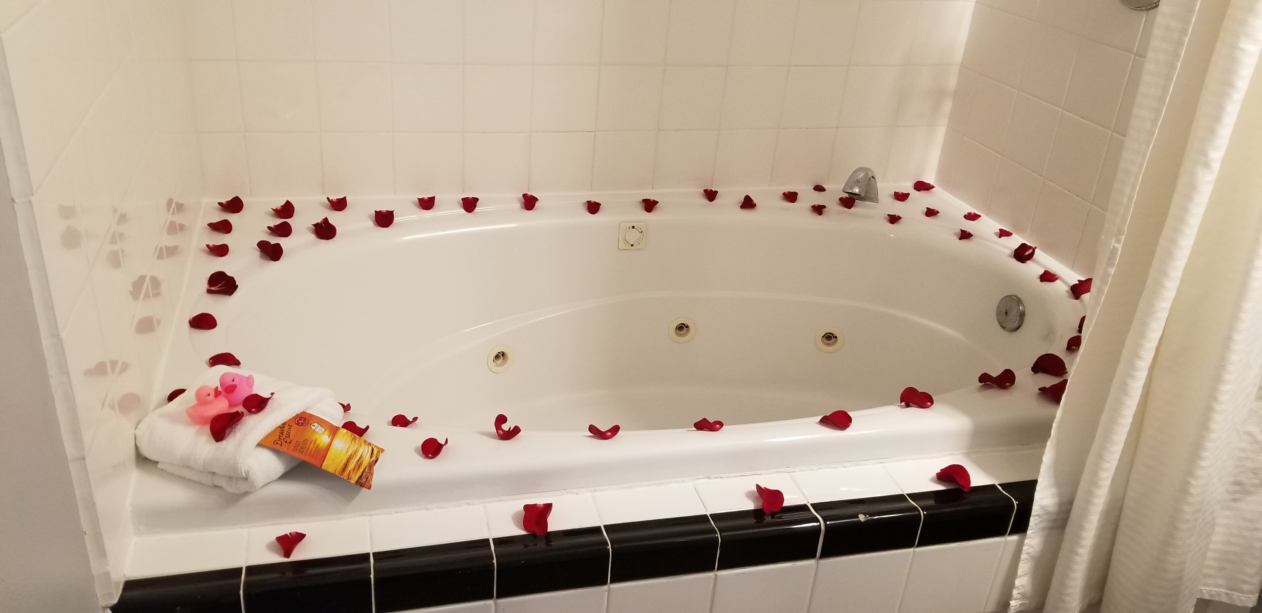 Nantucket Inn-浴室