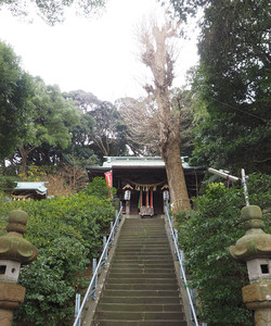 Hashirimizu Shrine景点门票图片