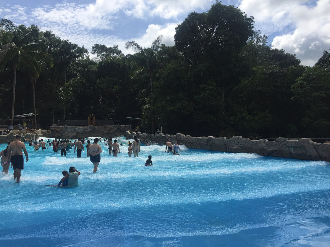 Cacoal Selva Park Hotel主图