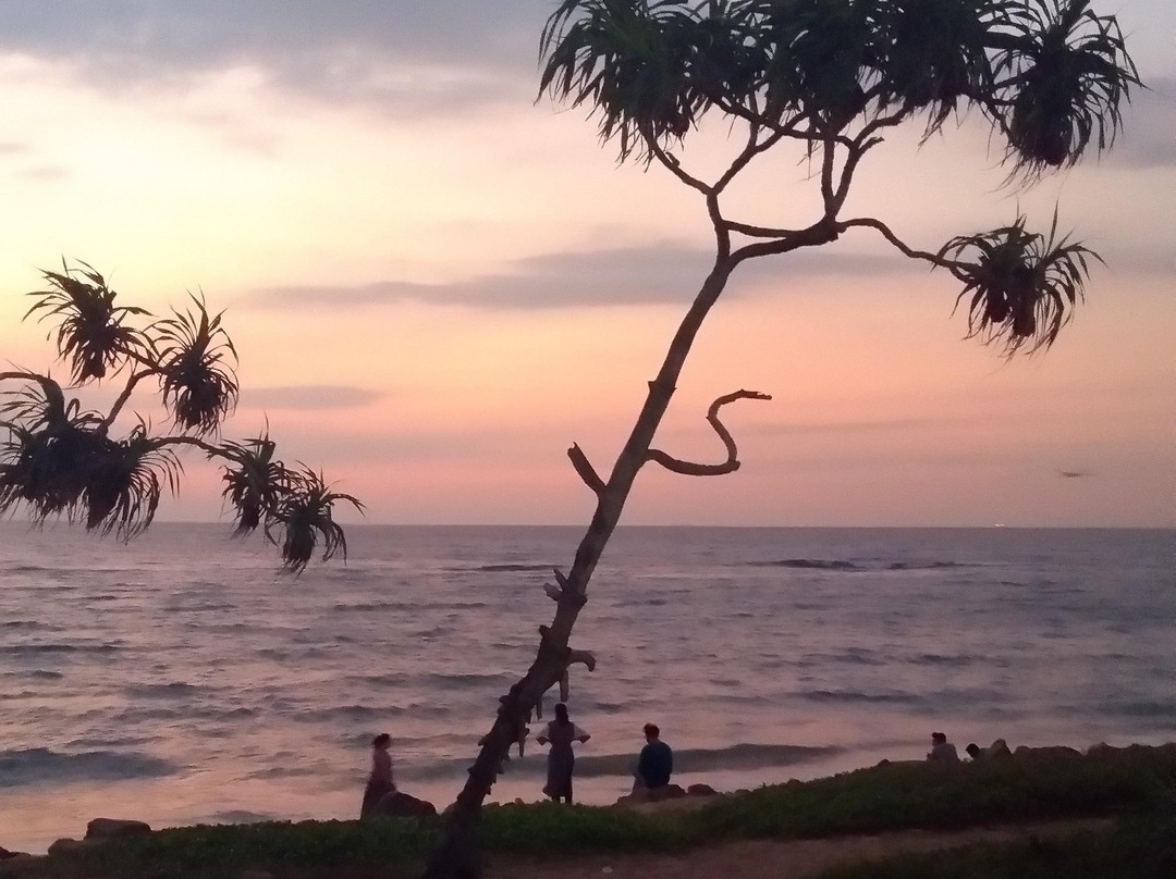 Travel Pals Lanka-赛杜瓦必去景点