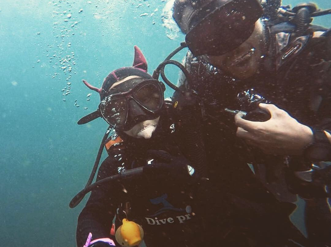 Nemo Diving Center - Fujairah景点图片